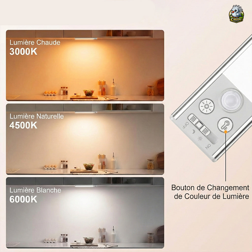 Lampe LED Détecteur de Mouvement – Lot de 2