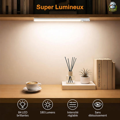 Lampe LED Détecteur de Mouvement – Lot de 2